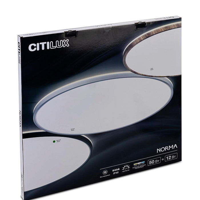 Светильник Citilux CL748601