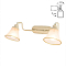 Спот Citilux CL511524