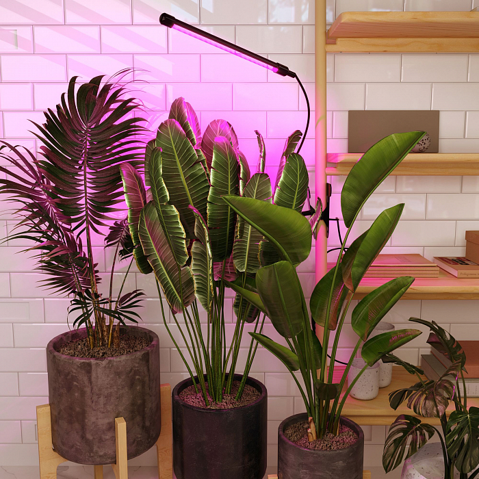 Светильник Elektrostandard FT-004 чёрный