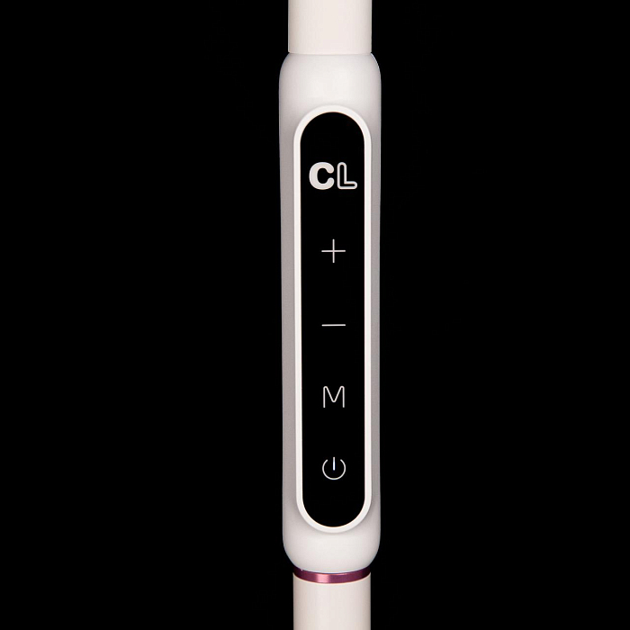 Торшер CITILUX CL804020