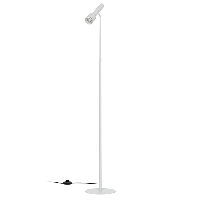 Торшер CITILUX CL513910