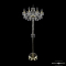 Торшер Bohemia Ivele Crystal 1410T2/8/195-160 G V0300